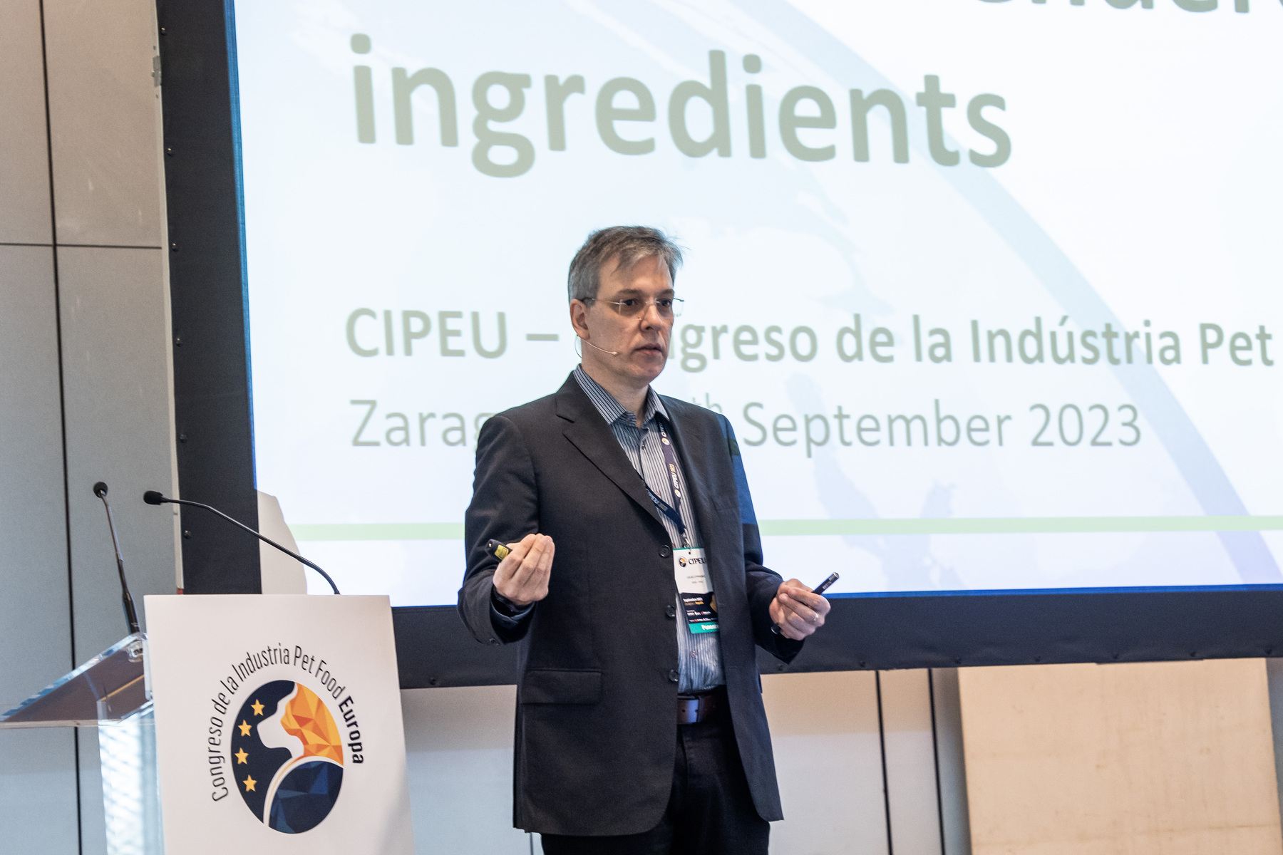 conferencias - cipeu (135)